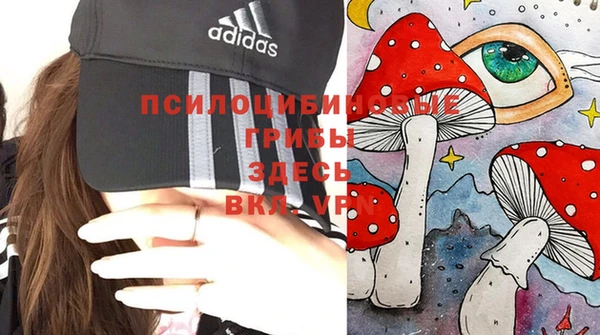 бутират Алексеевка