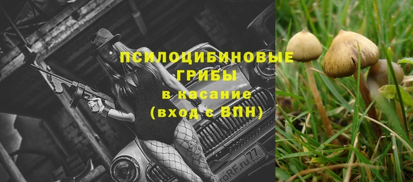 Альфа ПВП Алексин