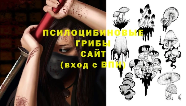 бутират Алексеевка
